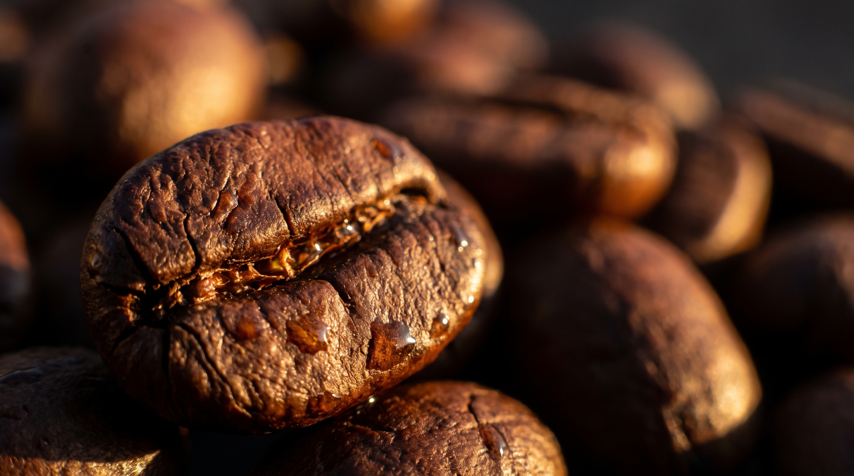 Whole roasted coffee beans, macro shot